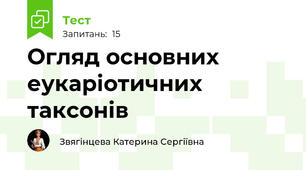 Огляд основних еукаріотичних таксонів 