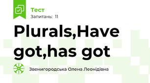 Plurals,Have got,has got