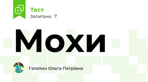Мохи