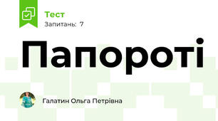 Папороті
