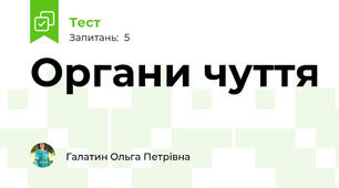 Органи чуття