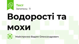 Водорості та мохи