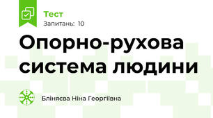 Опорно-рухова система людини