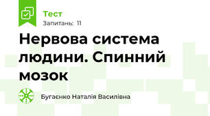 Нервова система людини. Спинний мозок