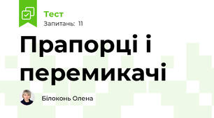 Прапорці і перемикачі
