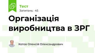 Організація виробництва в ЗРГ