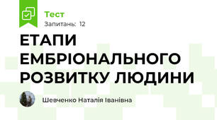 ЕТАПИ ЕМБРІОНАЛЬНОГО РОЗВИТКУ ЛЮДИНИ