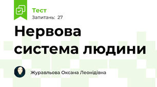 Нервова система людини