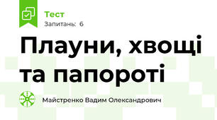 Плауни, хвощі та папороті