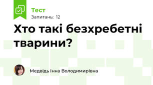Хто такі безхребетні тварини?