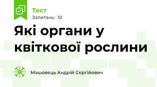Які органи у квіткової рослини