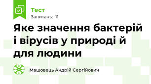Яке значення бактерій і вірусів у природі й для людини