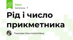 Рід і число прикметника