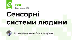  Сенсорні системи людини
