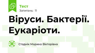 Віруси. Бактерії. Еукаріоти.