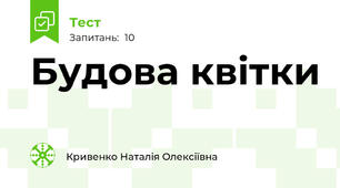 Будова квітки