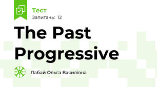 The Past Progressive 