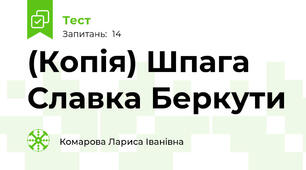 (Копія) Шпага Славка Беркути