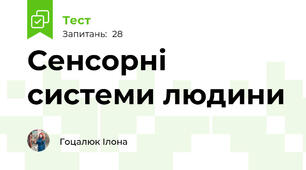Сенсорні системи людини