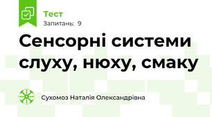 Сенсорні системи слуху, нюху, смаку 