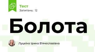 Болота