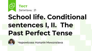 School life. Conditional sentences I, II.  The Past Perfect Tense