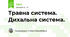 Травна система. Дихальна система.