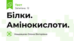   Білки. Амінокислоти.