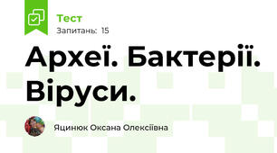 Археї. Бактерії. Віруси.