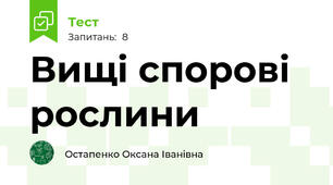 Вищі спорові рослини