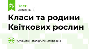 Класи та родини Квіткових рослин