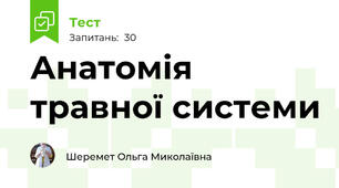 Анатомія травної системи