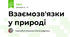 Взаємозв'язки у природі