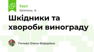 Шкідники та хвороби винограду