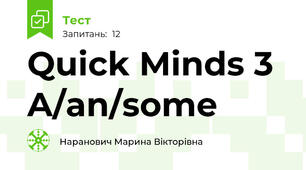 Quick Minds 3 A/an/some 