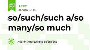 so/such/such a/so many/so much