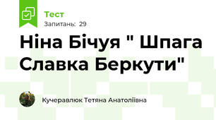 Ніна Бічуя " Шпага Славка Беркути"