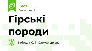 Гірські породи