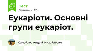 Еукаріоти. Основні групи еукаріот.