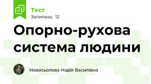 Опорно-рухова система людини