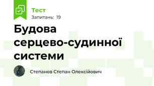 Будова серцево-судинної системи