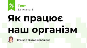 Як працює наш організм