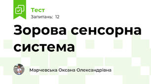 Зорова сенсорна система