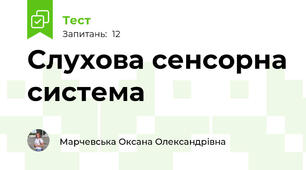 Слухова сенсорна система