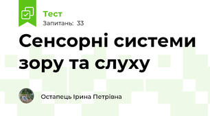 Сенсорні системи зору та слуху
