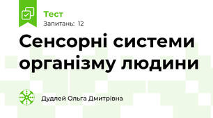 Сенсорні системи організму людини