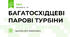 БАГАТОСХІДЦЕВІ ПАРОВІ ТУРБІНИ