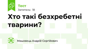 Хто такі безхребетні тварини?