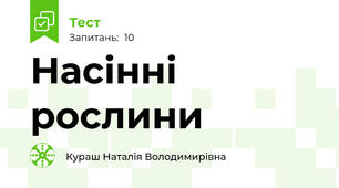 Насінні рослини