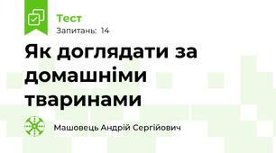Як доглядати за домашніми тваринами